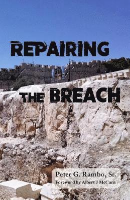 Repairing the Breach 1