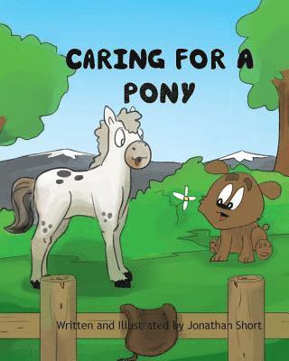 Caring for a Pony: An ilustrated guide to raising a pony 1