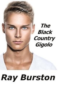 bokomslag Black Country Gigolo