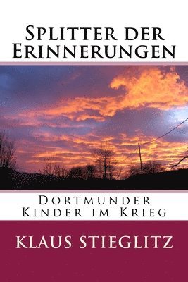 Peter Stieglitz, Klaus Stieglitz - Splitter der Erinnerungen: Dortmunder Kinder im Krieg, Häftad