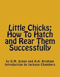 bokomslag Little Chicks: How To Hatch and Rear Them Successfully