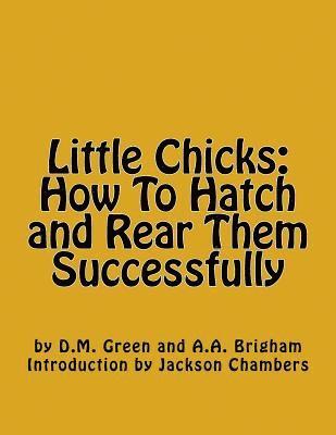 Little Chicks: How To Hatch and Rear Them Successfully 1