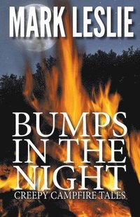 bokomslag Bumps in the Night