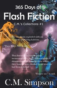 bokomslag 365 Days of Flash Fiction