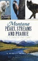 bokomslag Montana Peaks, Streams and Prairie: A Natural History