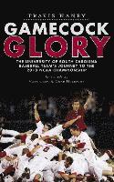 bokomslag Gamecock Glory: The University of South Carolina Baseball Team's Journey to the 2010 NCAA Championship