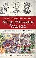 bokomslag Hidden History of the Mid-Hudson Valley: Stories from the Albany Post Road