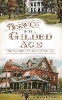 bokomslag Norwich in the Gilded Age: The Rose City's Millionaires' Triangle