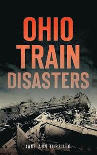bokomslag Ohio Train Disasters