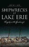 bokomslag Shipwrecks of Lake Erie: Tragedy in the Quadrangle