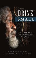 bokomslag Drink Small: The Life & Music of South Carolina's Blues Doctor