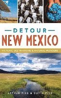 bokomslag Detour New Mexico: Historic Destinations & Natural Wonders