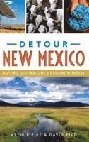 Arthur Pike, David Pike - Detour New Mexico: Historic Destinations & Natural Wonders, Inbunden