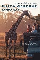 Busch Gardens Tampa Bay