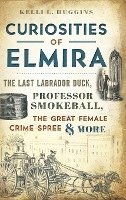 bokomslag Curiosities of Elmira: The Last Labrador Duck, Professor Smokeball, the Great Female Crime Spree & More