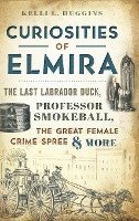 Curiosities of Elmira: The Last Labrador Duck, Professor Smokeball, the Great Female Crime Spree & More 1