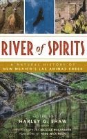 bokomslag River of Spirits