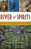 bokomslag River of Spirits: A Natural History of New Mexico S Las Animas Creek