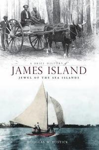 bokomslag A Brief History of James Island: Jewel of the Sea Islands