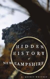 bokomslag Hidden History of New Hampshire