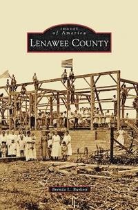 bokomslag Lenawee County