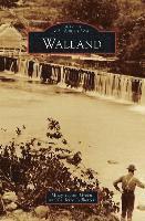 bokomslag Walland