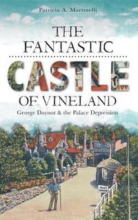 bokomslag The Fantastic Castle of Vineland: George Daynor & the Palace Depression