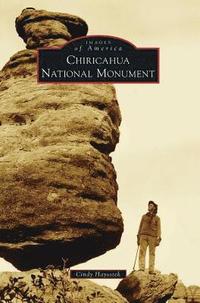 bokomslag Chiricahua National Monument