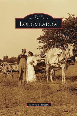 bokomslag Longmeadow