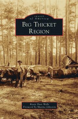 bokomslag Big Thicket Region