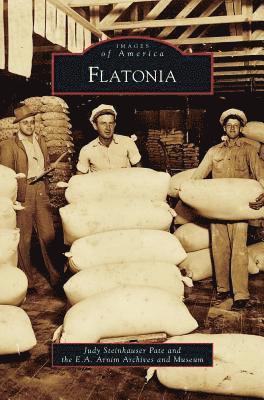 Flatonia 1