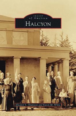 Halcyon 1