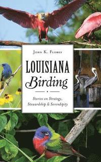 bokomslag Louisiana Birding: Stories on Strategy, Stewardship and Serendipity