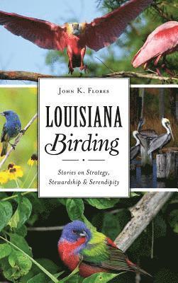 Louisiana Birding: Stories on Strategy, Stewardship and Serendipity 1