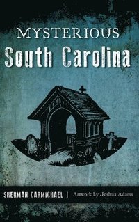 bokomslag Mysterious South Carolina