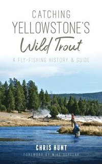 bokomslag Catching Yellowstone's Wild Trout