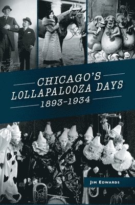 bokomslag Chicago's Lollapalooza Days