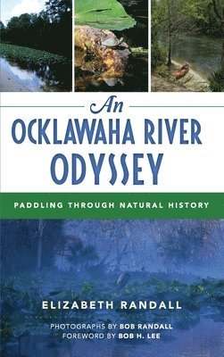 bokomslag An Ocklawaha River Odyssey: Paddling Through Natural History