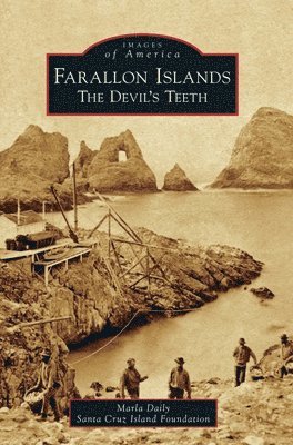 Marla Daily, Santa Cruz Island Foundation - Farallon Islands: The Devil's Teeth, Inbunden
