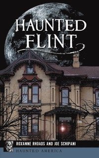 bokomslag Haunted Flint