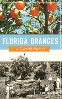 bokomslag Florida Oranges