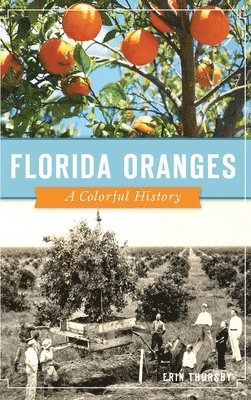 bokomslag Florida Oranges: A Colorful History