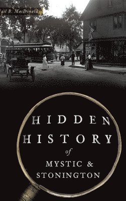 Gail B. MacDonald - Hidden History of Mystic & Stonington, Inbunden