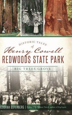 bokomslag Historic Tales of Henry Cowell Redwoods State Park: Big Trees Grove