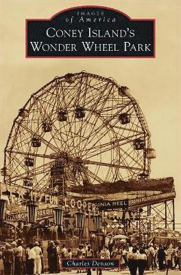 Coney Island's Wonder Wheel Park 1