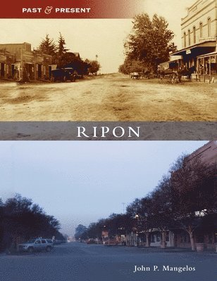 Ripon 1