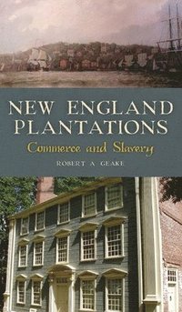 bokomslag New England Plantations