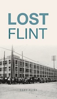 bokomslag Lost Flint