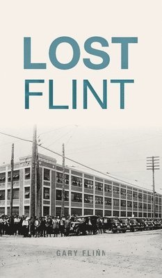 bokomslag Lost Flint