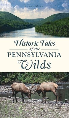 bokomslag Historic Tales of the Pennsylvania Wilds